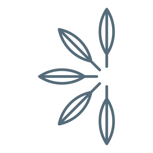 ElevatED Consultants